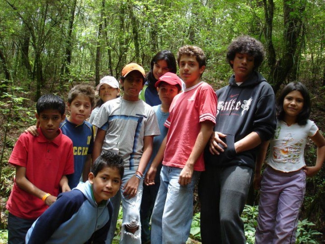 Senderismo en el bosque